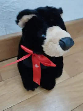 Ours peluche