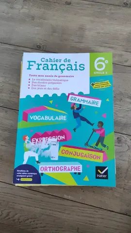 Lot manuels scolaires sixième
