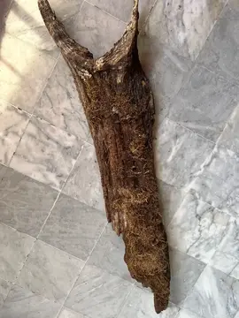 2 racines pour déco