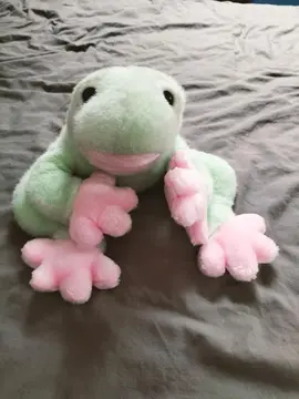 peluche grenouille