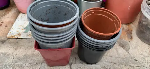 petits pots pour semis ou petite plantes