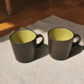 Lot de 2 mugs