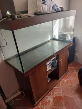 aquarium