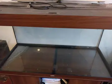 aquarium