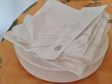 Assiettes en carton et serviettes en papier