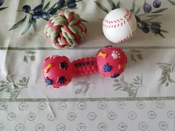 jouets pour chien
