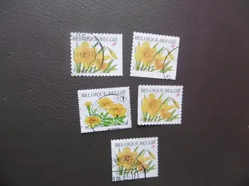 Série timbres Belgique Fleurs jaunes 2008