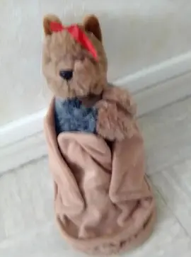 pelouche 2