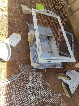 cages a lapin