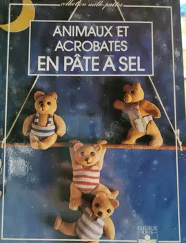 Lot de 2 livres création en pâte à sel