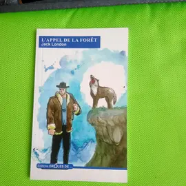 livre junior