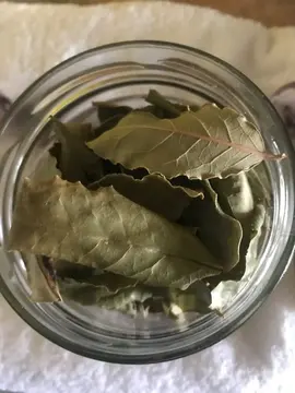 Feuilles de laurier séchées