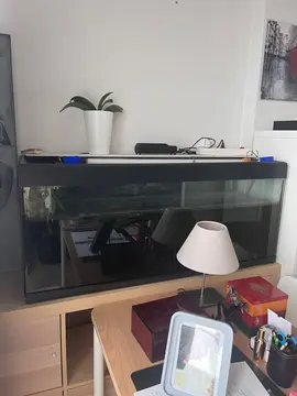 aquarium