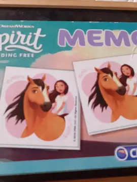 memorie "Spirit"