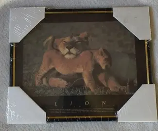 cadre photo neuf thème lions 26x21cm
