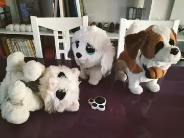 3 chien/ chat interactif