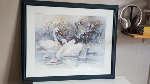 grand tableau cygne