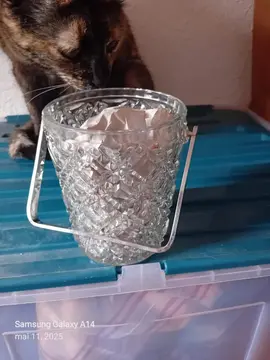 récipient verre