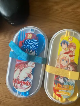set pique nique