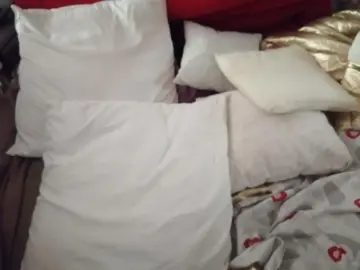 Lot coussins