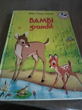 Bambi grandit