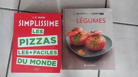 2 gros livres de recettes de cuisine