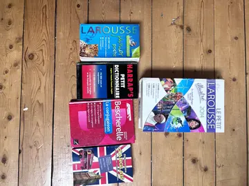 lot dictionnaires scolaires