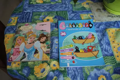 2 livres pour jeune enfant