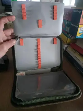 pochette dinausore