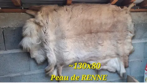 Peau de renne 130 x 80