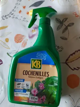 produit anti cochenilles