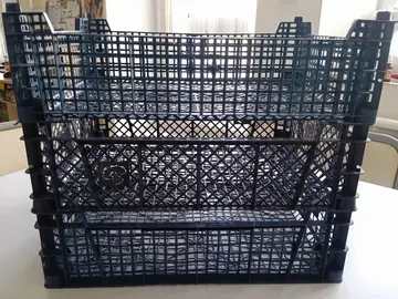 3 cagettes à champignon