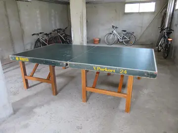 Table de ping pong