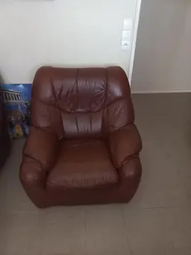 Fauteuils cuir