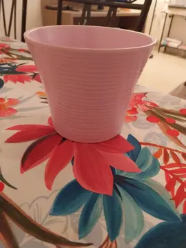 vase rose