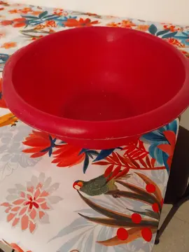 petite bassine