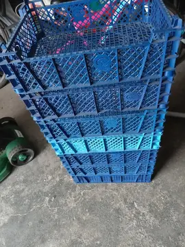 Cagettes plastiques
