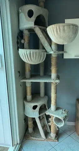 arbre à chat