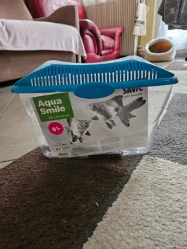 Aquarium Plastique