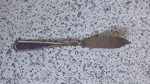 couteau à poisson