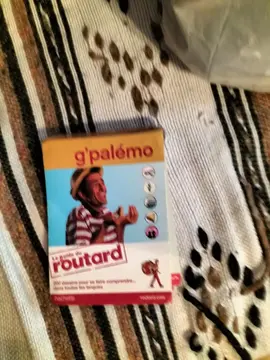 guide gpalemo routard