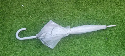 donne parapluie transparent