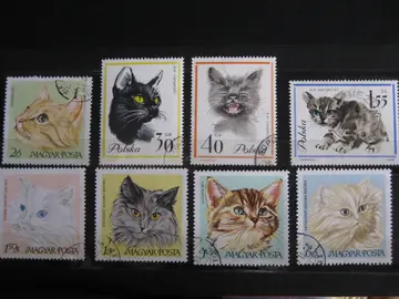 Timbres sur les chats