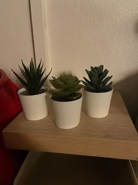 fausses plantes décoratives
