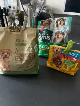 croquettes pour chien