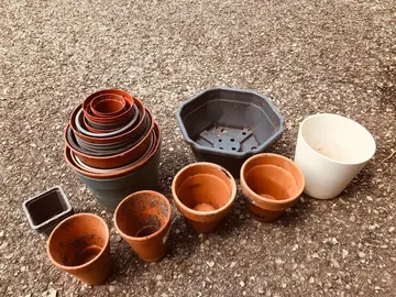 pots de fleurs