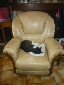 donne 2 fauteuils juste un nettoyage