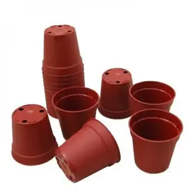 pot de culture