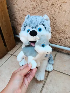 Peluche