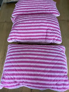 3 grands coussins roses